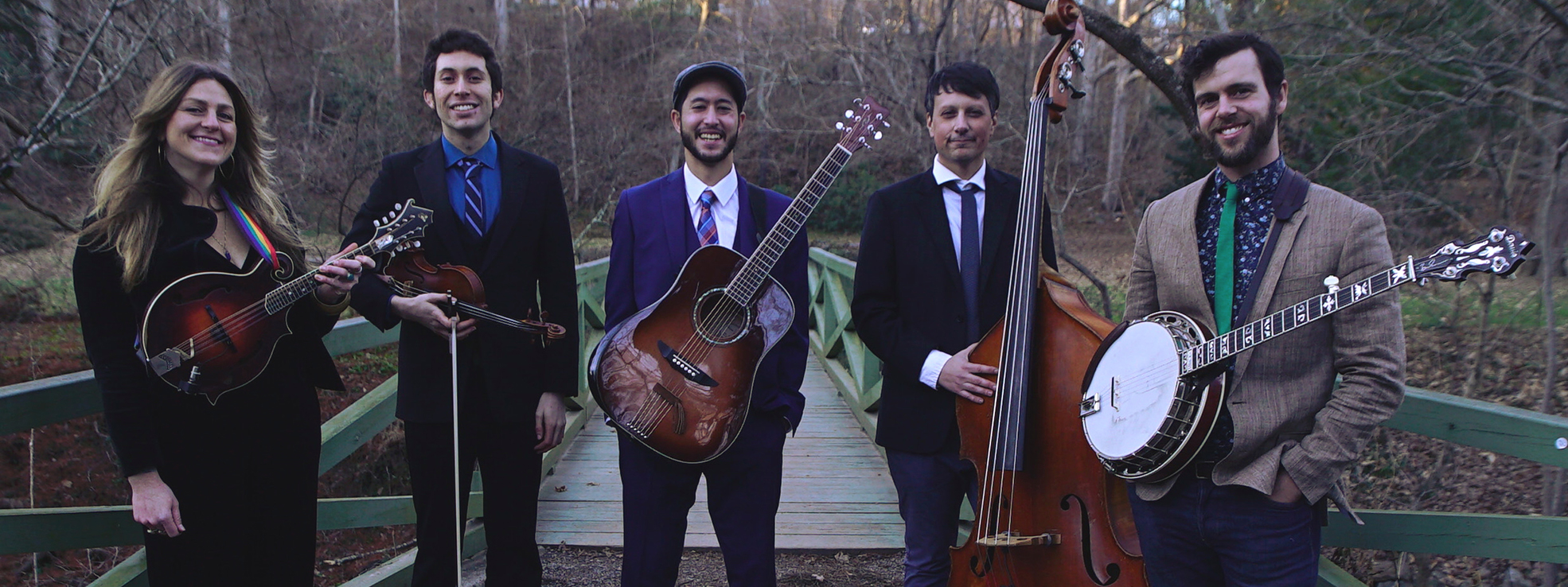 Image of GYPSY GRASS